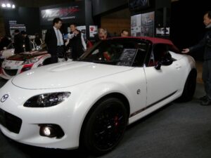 ＴＯＫＹＯ ＡｕｔｏＳａｌｏｎ ２０１３ 　Ｎｏ：０００６